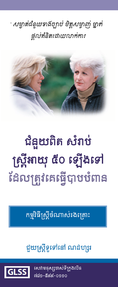 Women's and Family Abuse Program Brochure Khmer