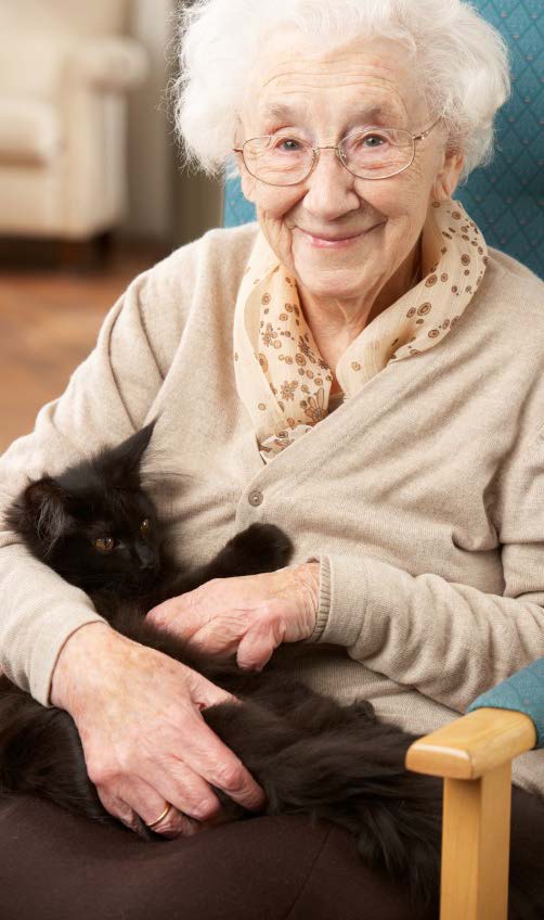 An Older Woman Sitting in a Chair with a Cat